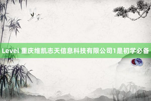 Level 重庆维凯志天信息科技有限公司1是初学必备